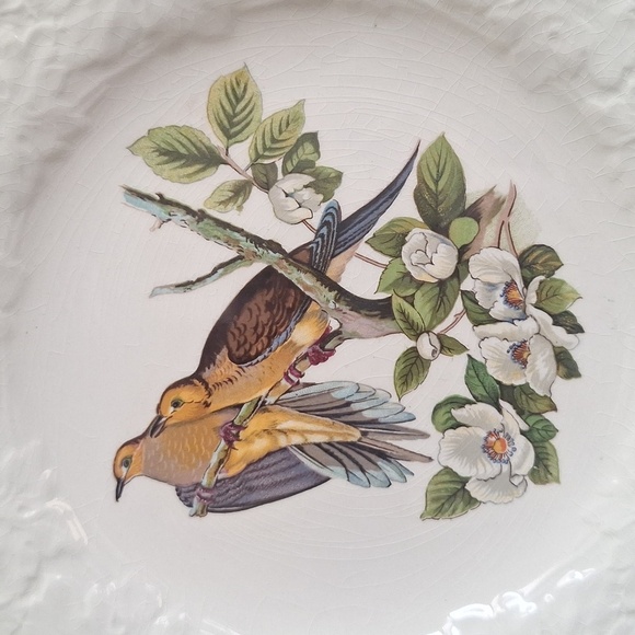 Vintage Carolina Turtle Dove Plate by Audubon Society – Alfred Meakin England - Picture 5 of 6